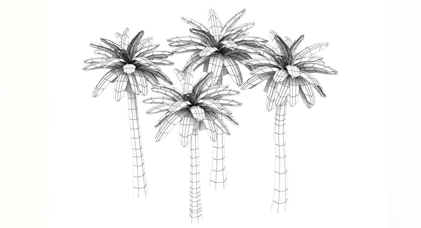 Palm Washingtonia 4 Trees Low-poly 3D model_4