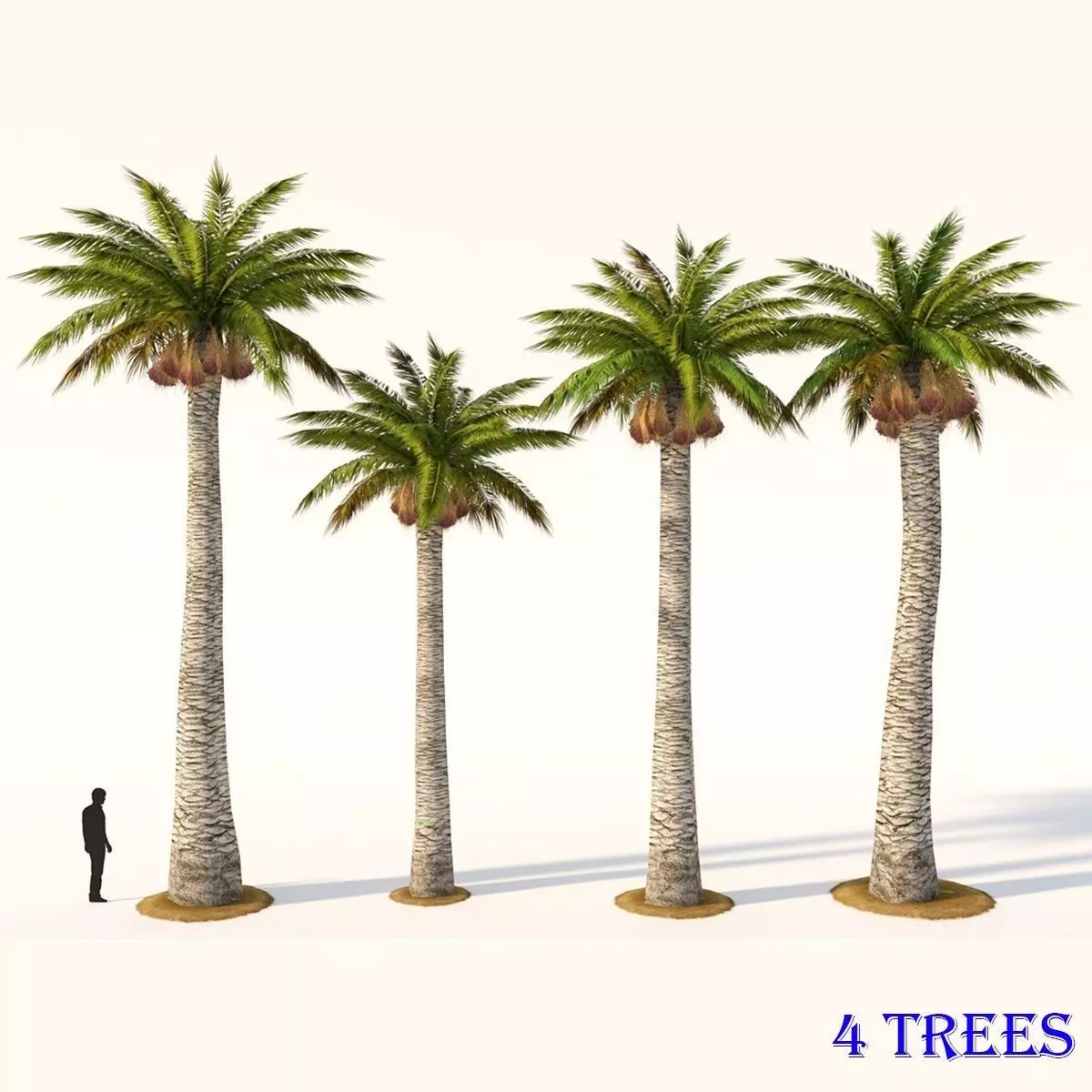 Palm Washingtonia 4 Trees Low-poly 3D model_0