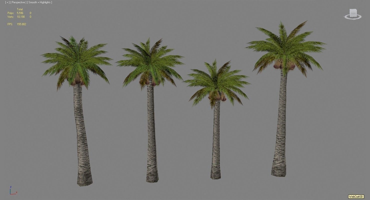 Palm Washingtonia 4 Trees Low-poly 3D model_6