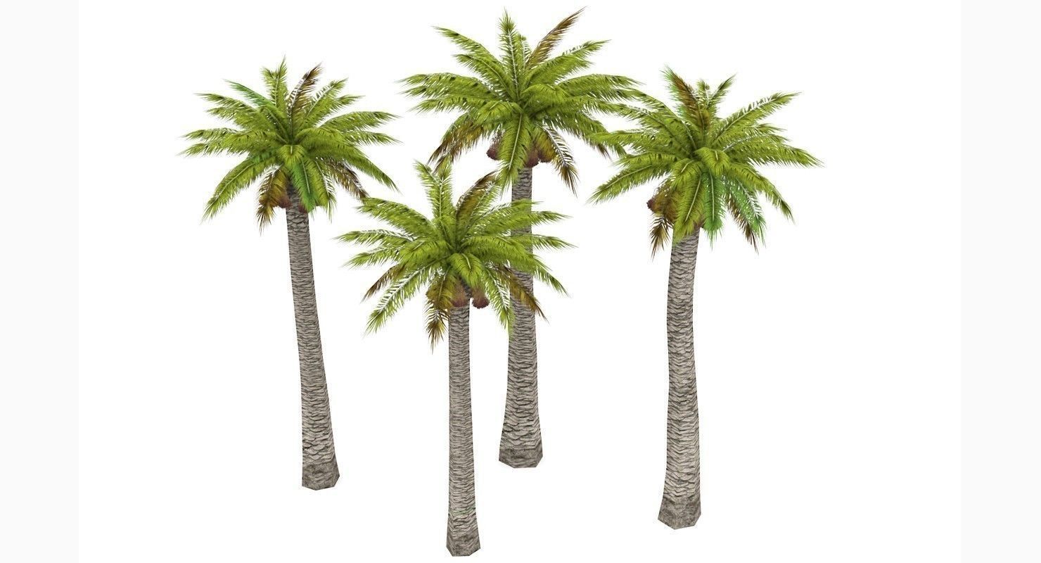 Palm Washingtonia 4 Trees Low-poly 3D model_2