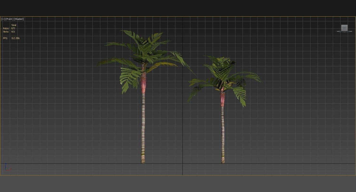 Areca Vestiaria Palm 2 Trees Low-poly 3D model_12