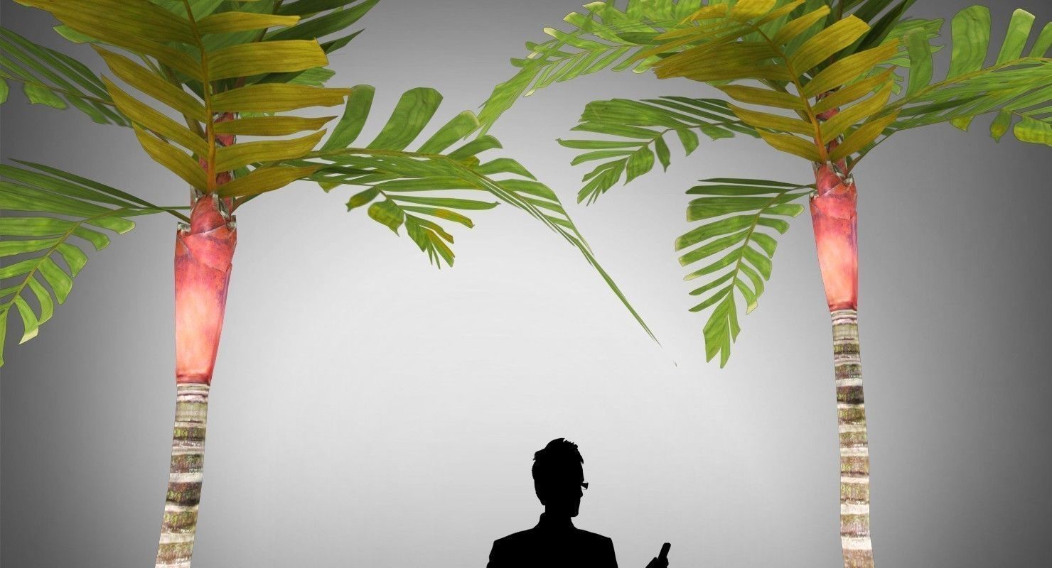 Areca Vestiaria Palm 2 Trees Low-poly 3D model_5