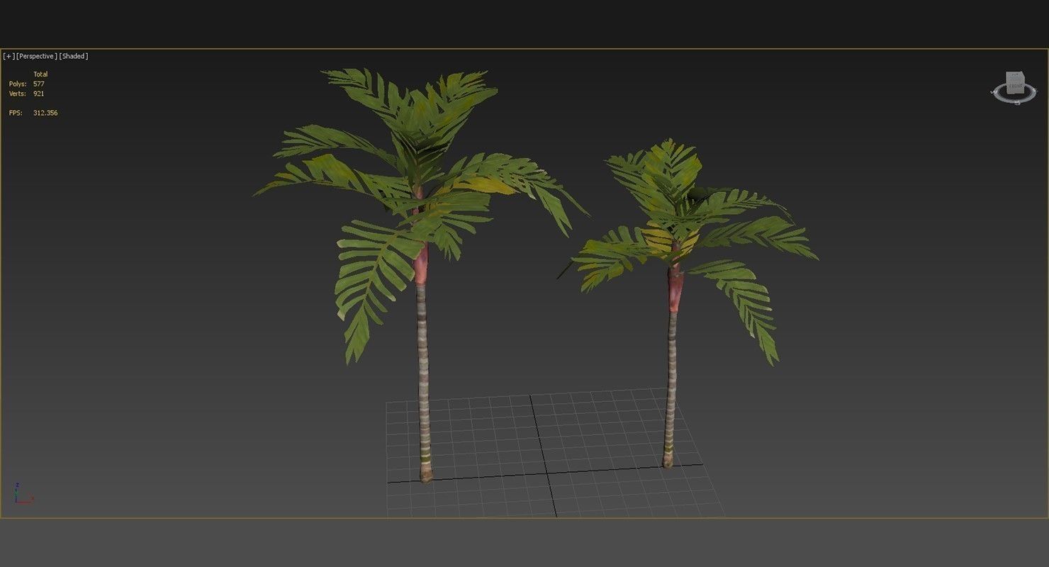 Areca Vestiaria Palm 2 Trees Low-poly 3D model_11