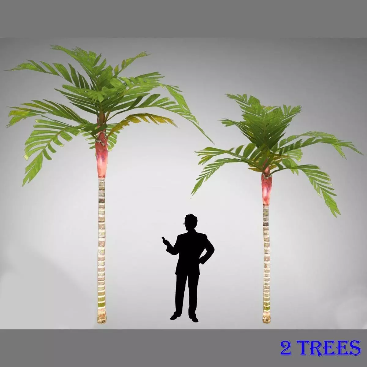Areca Vestiaria Palm 2 Trees Low-poly 3D model_0