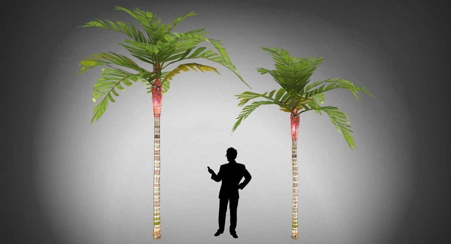 Areca Vestiaria Palm 2 Trees Low-poly 3D model_9