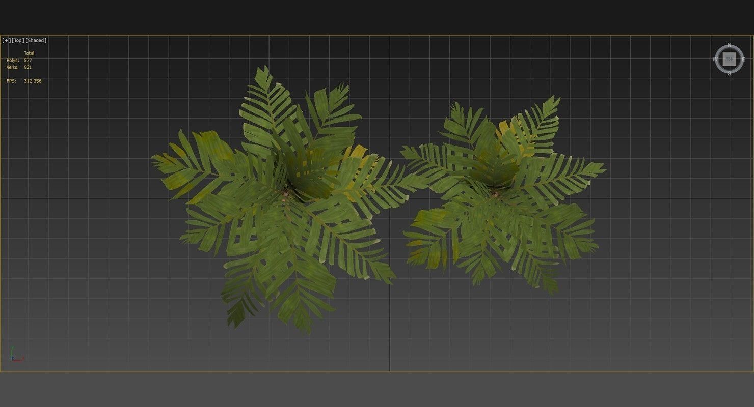 Areca Vestiaria Palm 2 Trees Low-poly 3D model_13