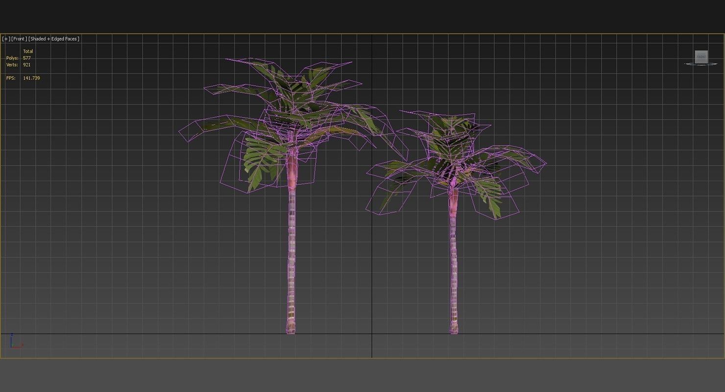 Areca Vestiaria Palm 2 Trees Low-poly 3D model_15