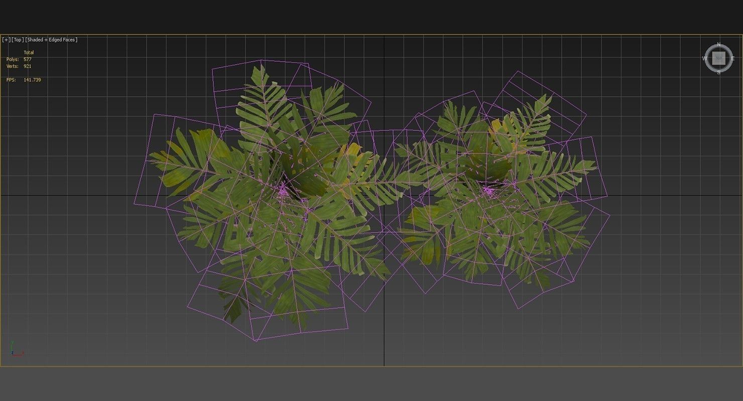 Areca Vestiaria Palm 2 Trees Low-poly 3D model_16