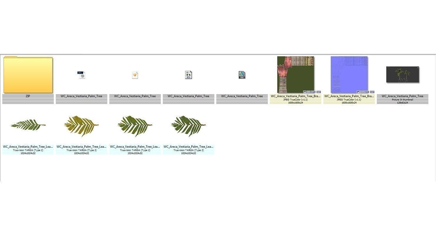 Areca Vestiaria Palm 2 Trees Low-poly 3D model_19