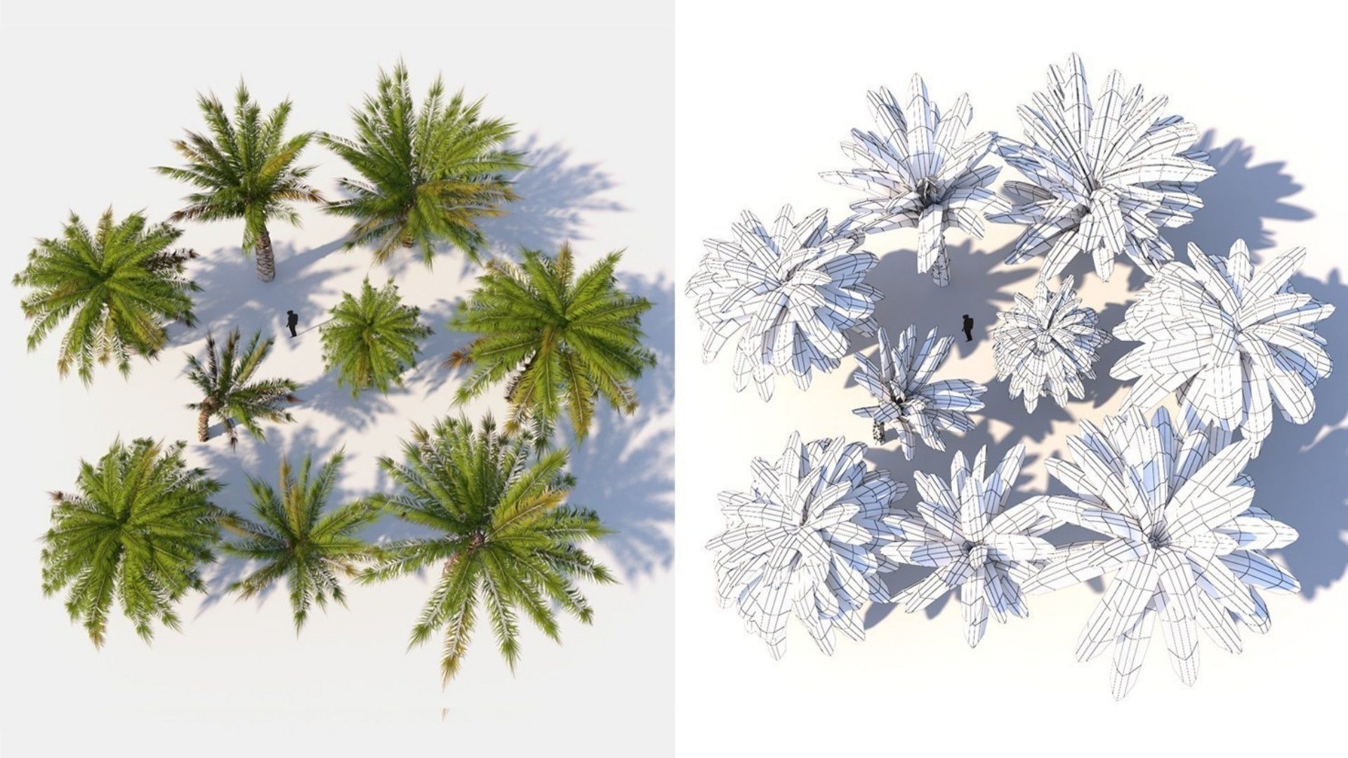 Small Palm 9 Trees Set Low-poly 3D model_4