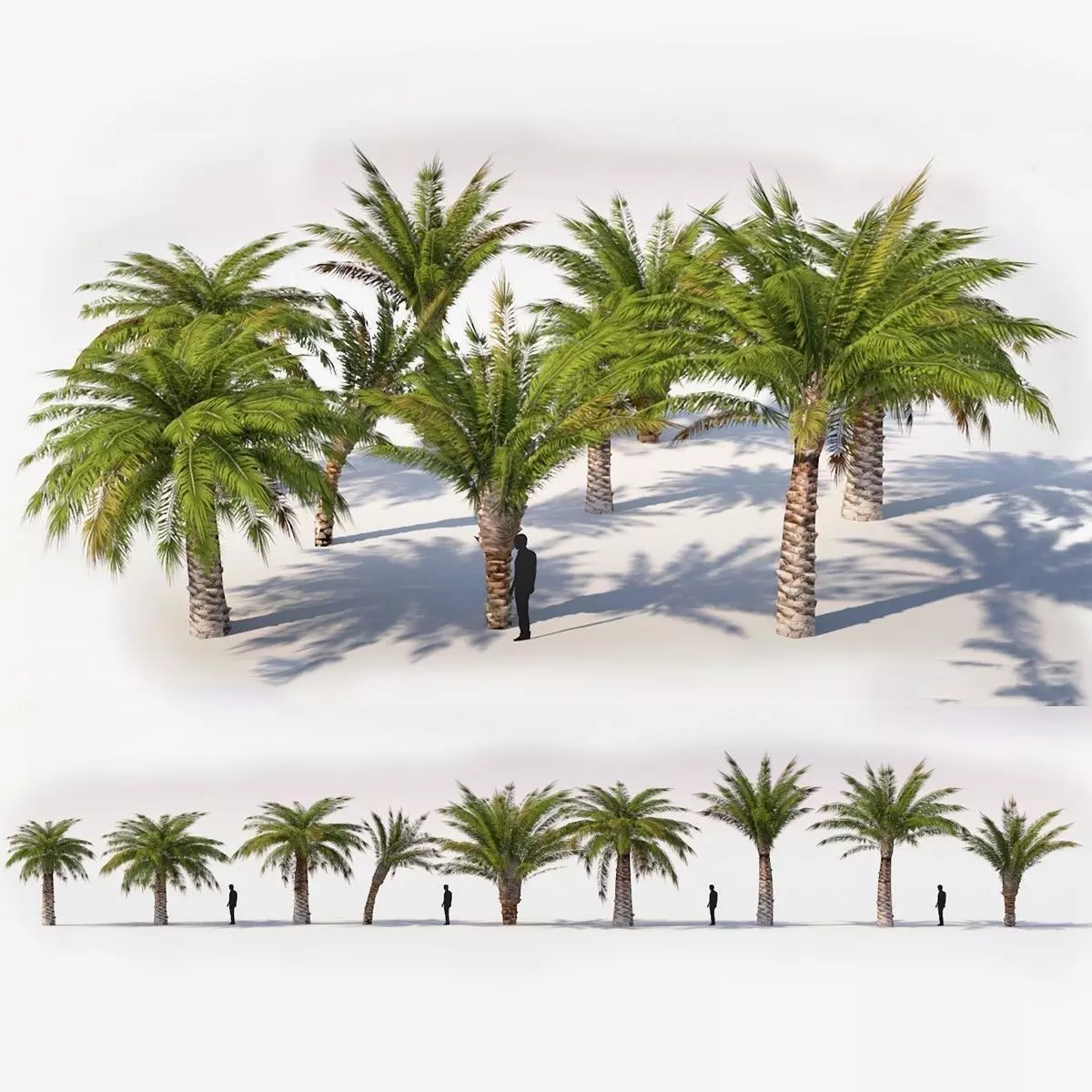 Small Palm 9 Trees Set Low-poly 3D model_0