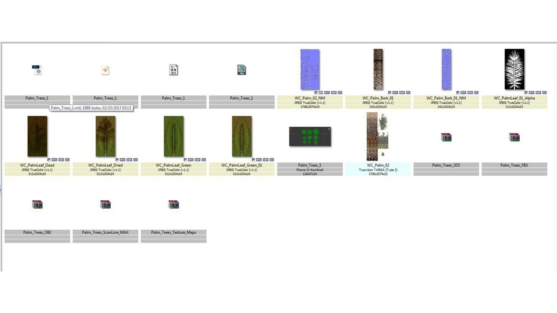Small Palm 9 Trees Set Low-poly 3D model_8