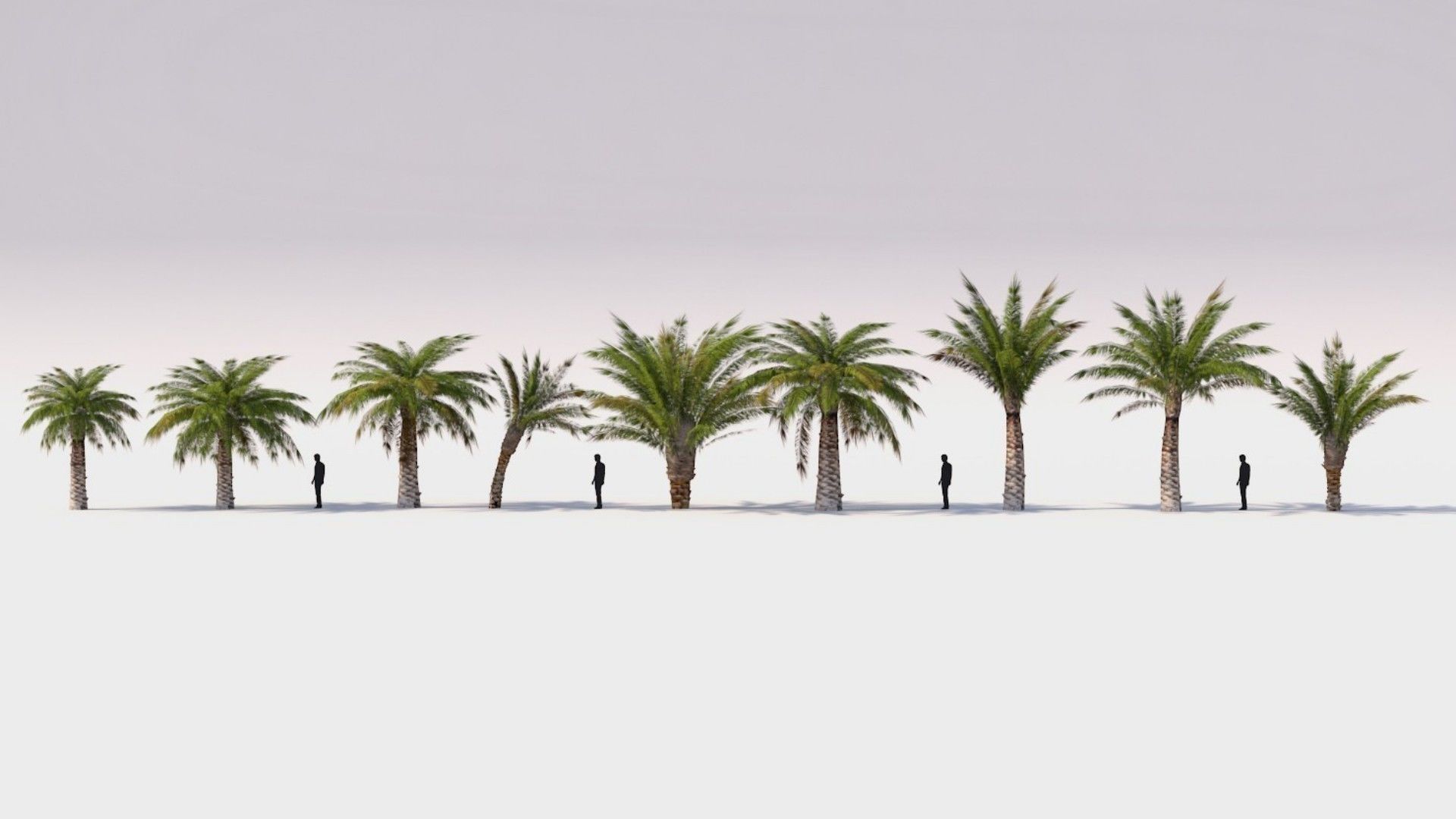 Small Palm 9 Trees Set Low-poly 3D model_2