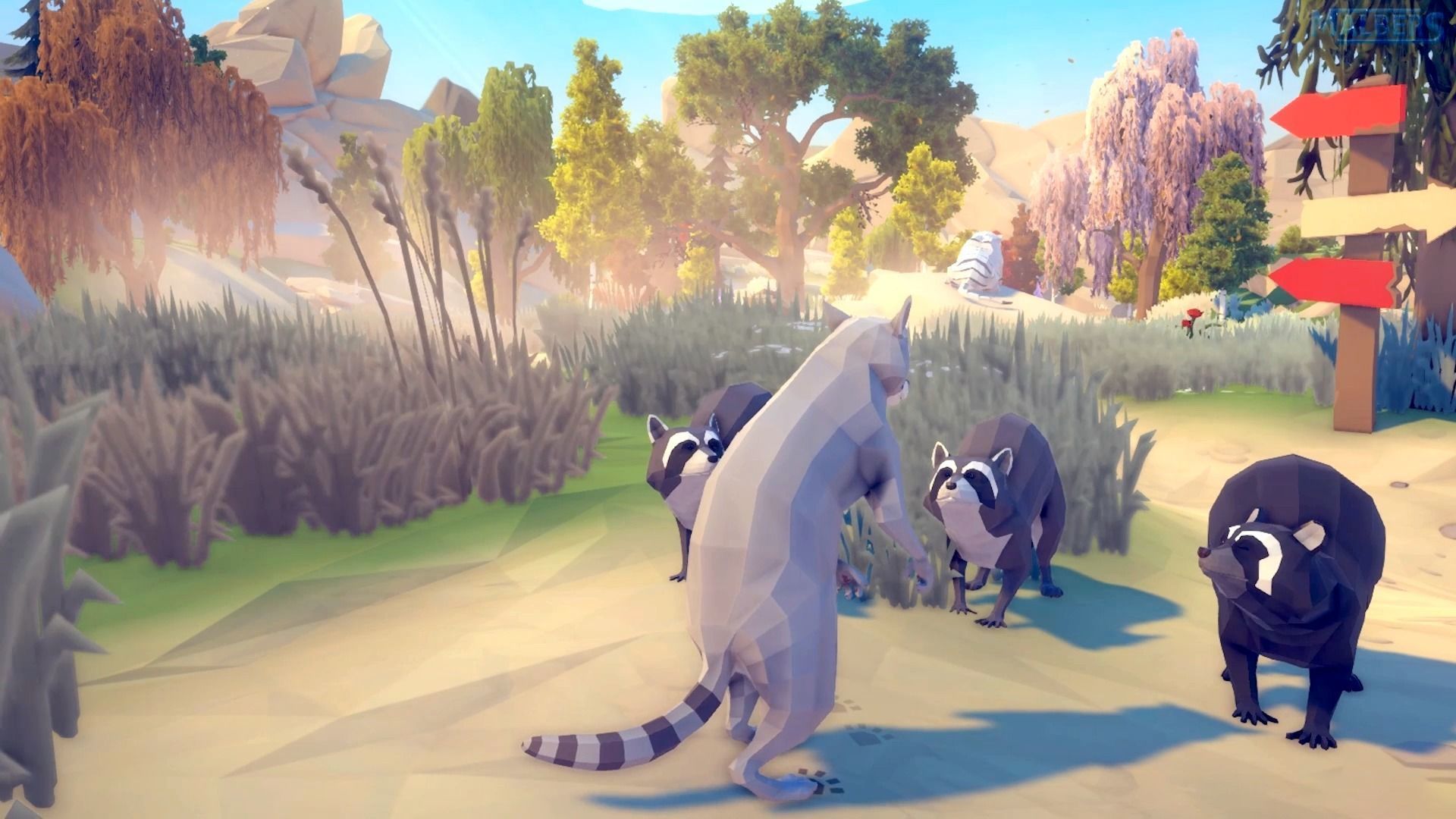 Realistic Raccoon and Red Panda 3D model_17