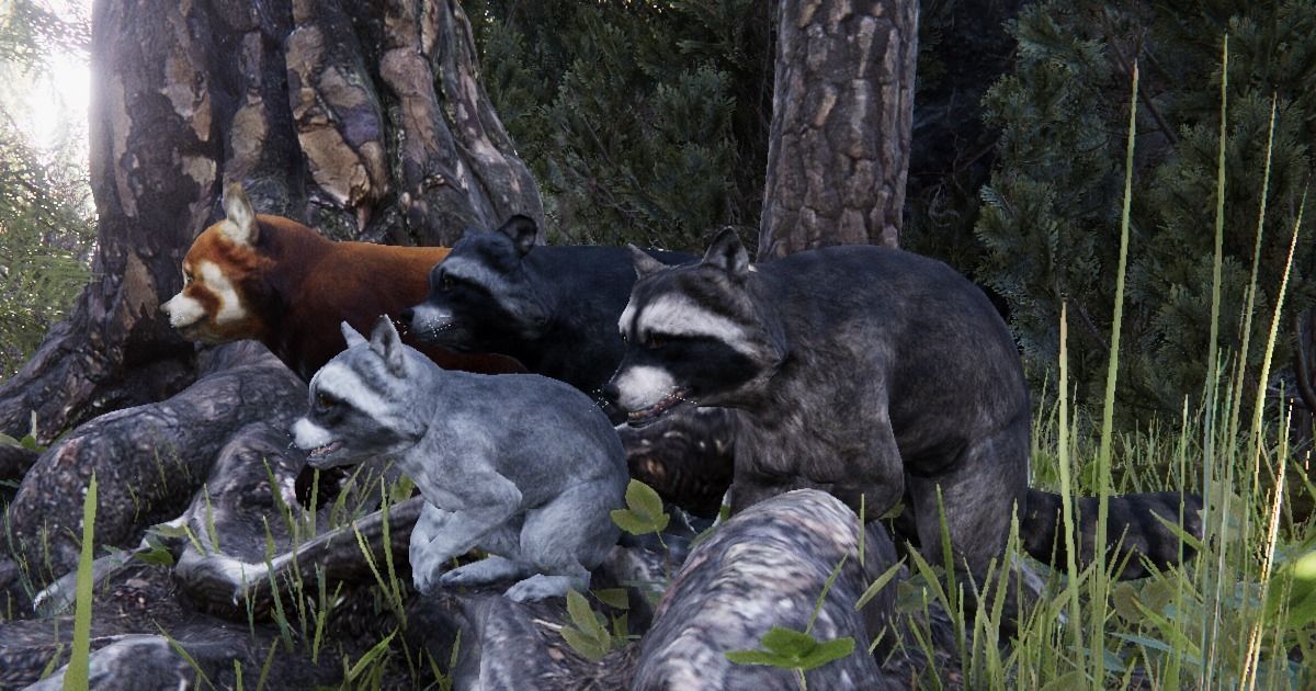 Realistic Raccoon and Red Panda 3D model_2