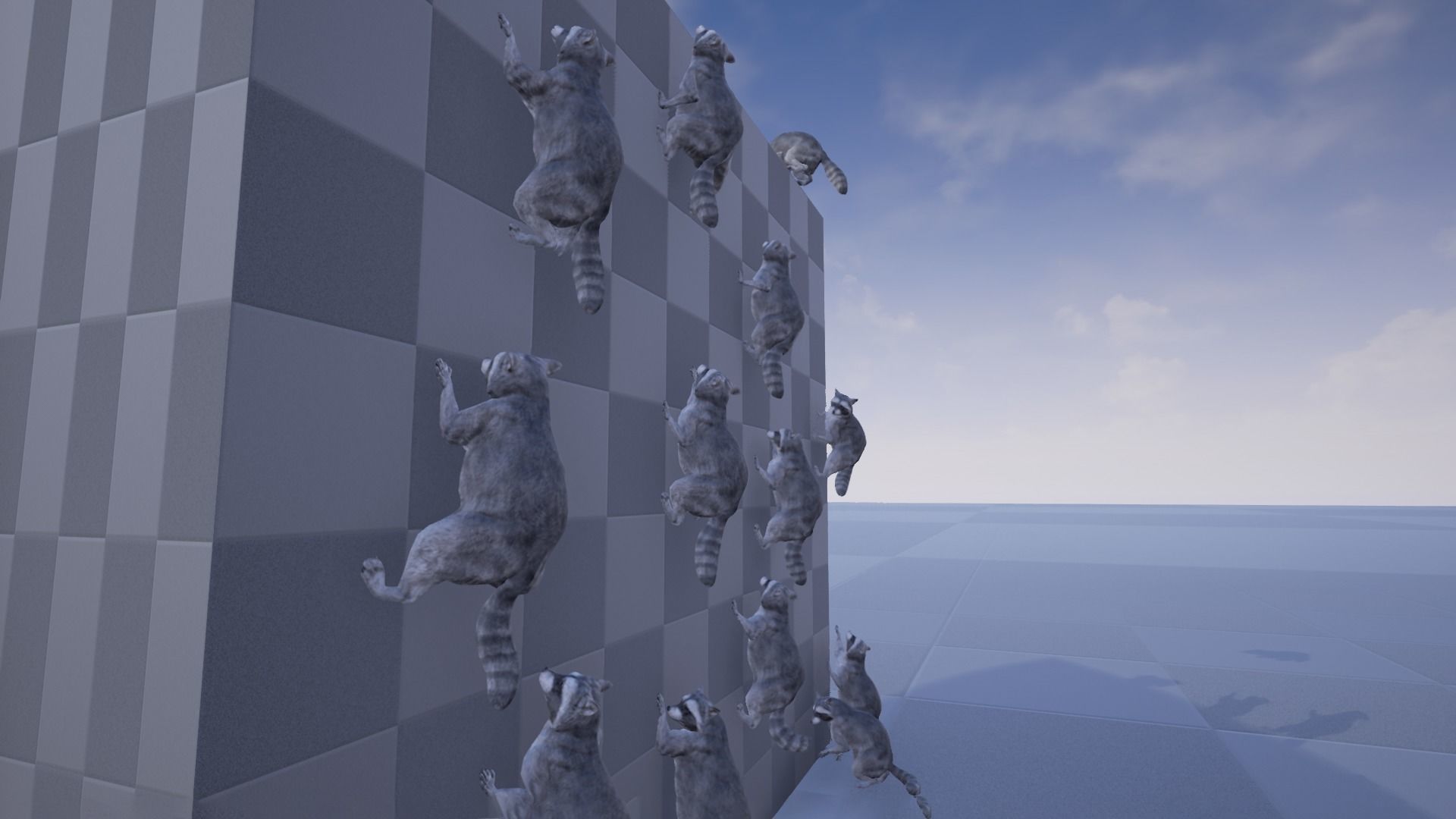 Realistic Raccoon and Red Panda 3D model_37