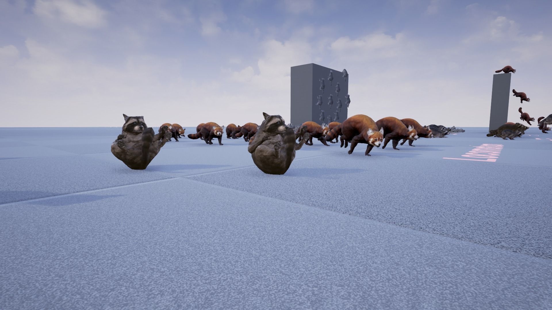 Realistic Raccoon and Red Panda 3D model_34