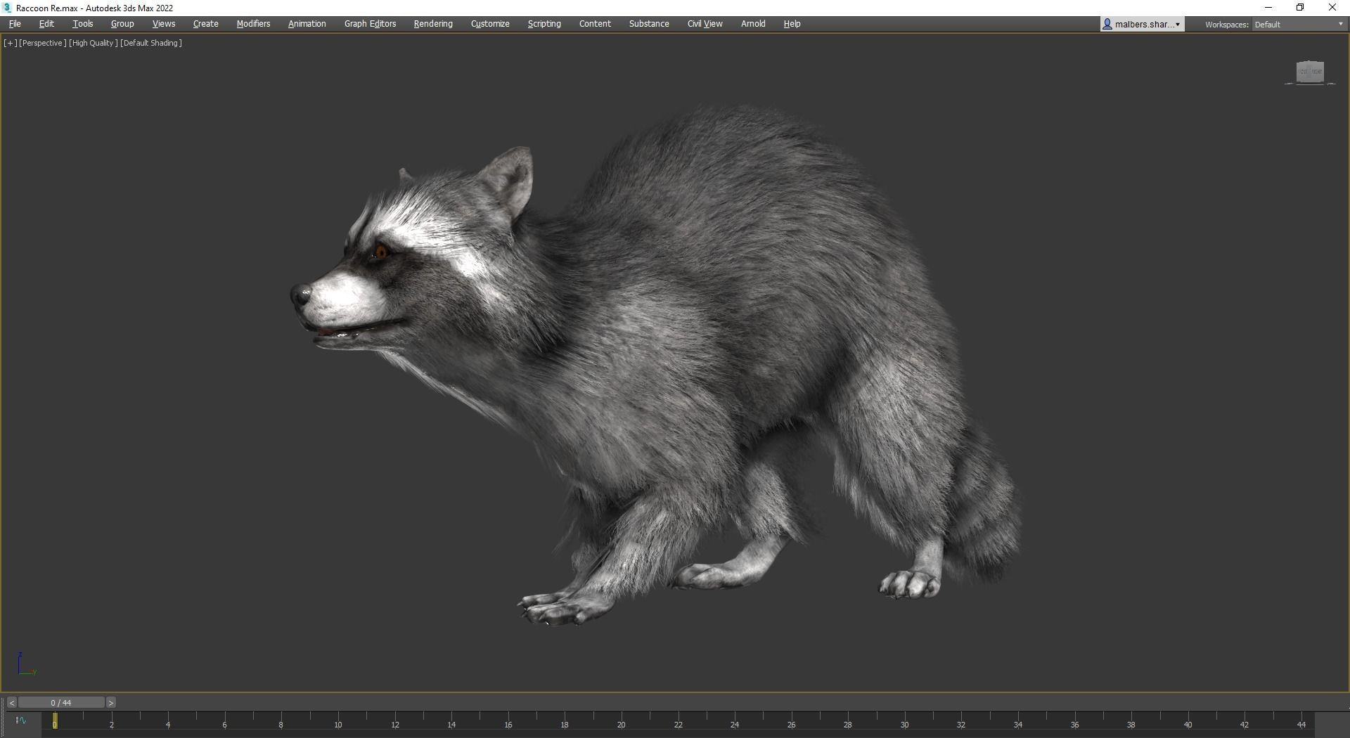 Realistic Raccoon and Red Panda 3D model_39
