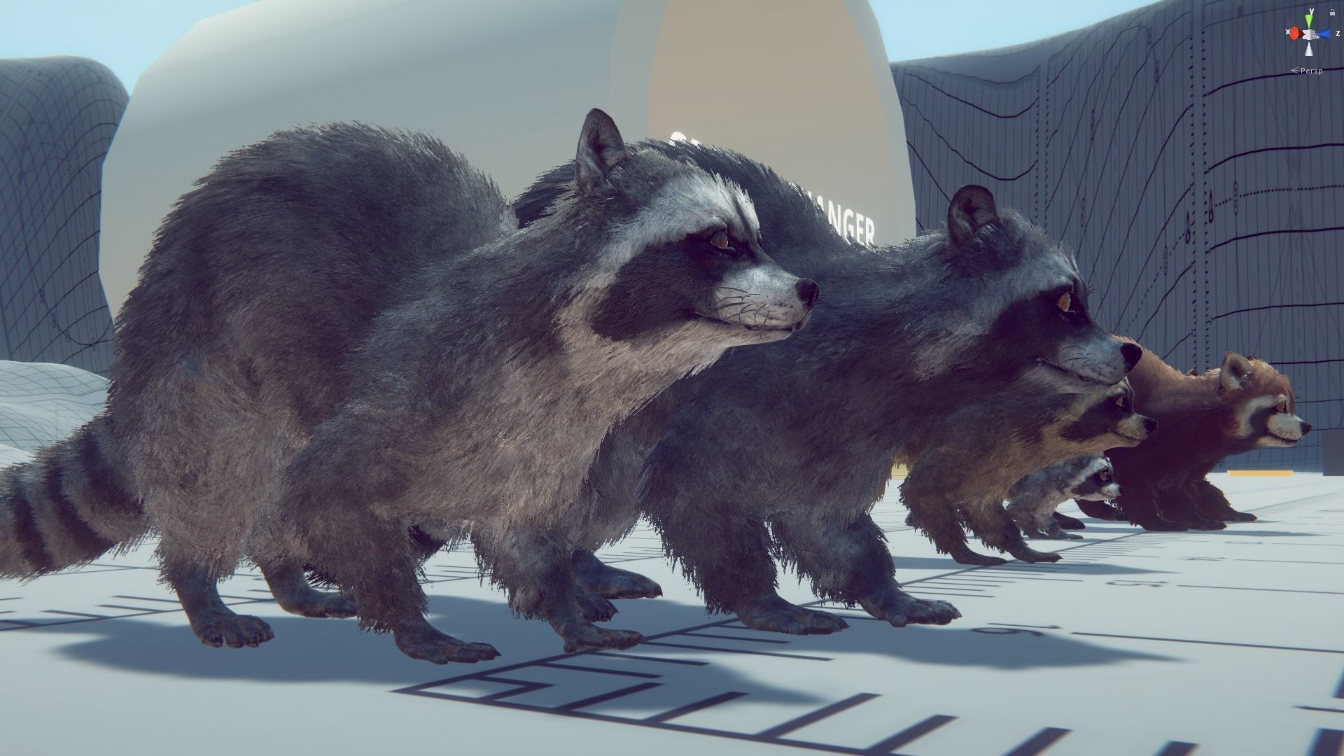 Realistic Raccoon and Red Panda 3D model_43