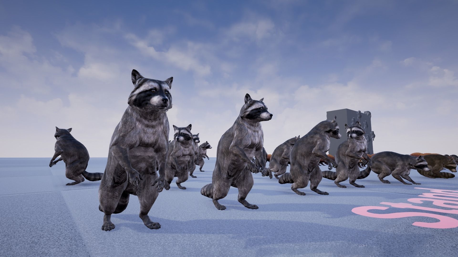 Realistic Raccoon and Red Panda 3D model_35