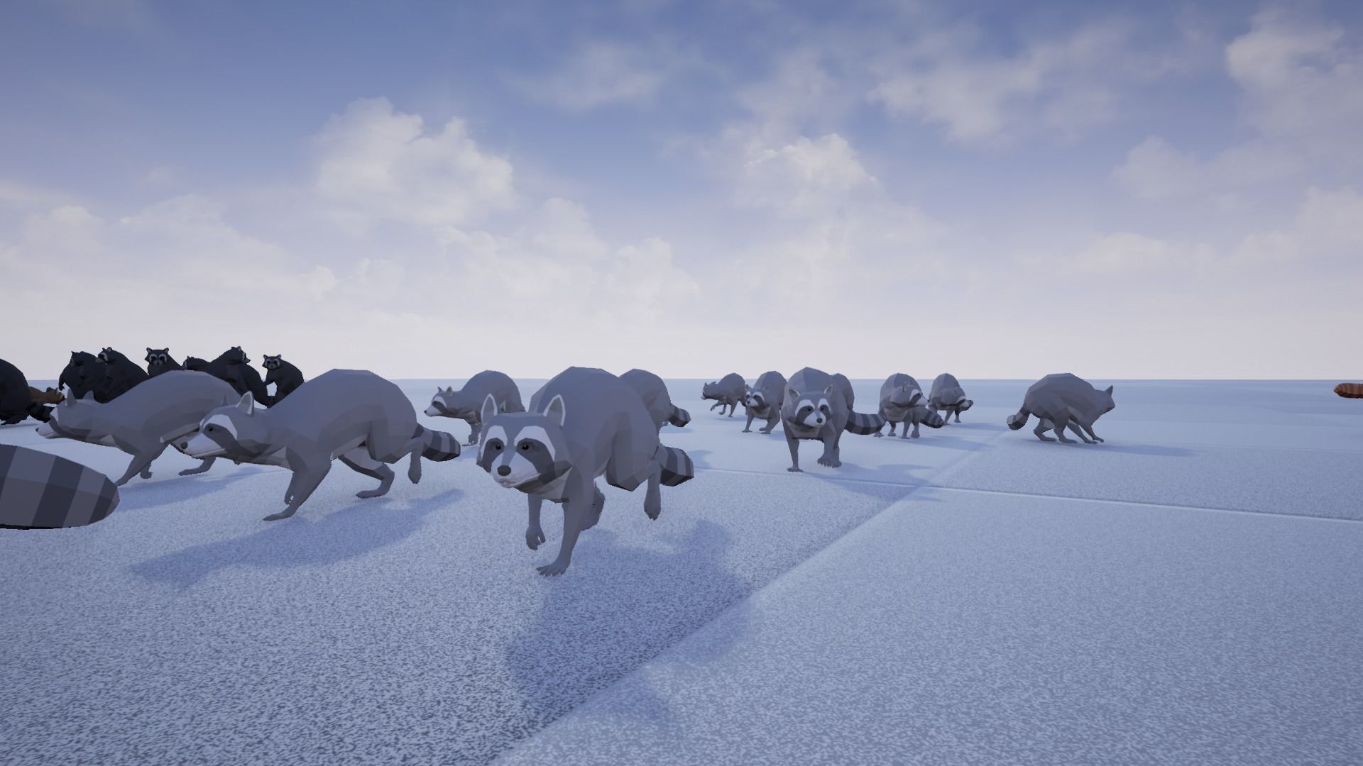 Realistic Raccoon and Red Panda 3D model_30