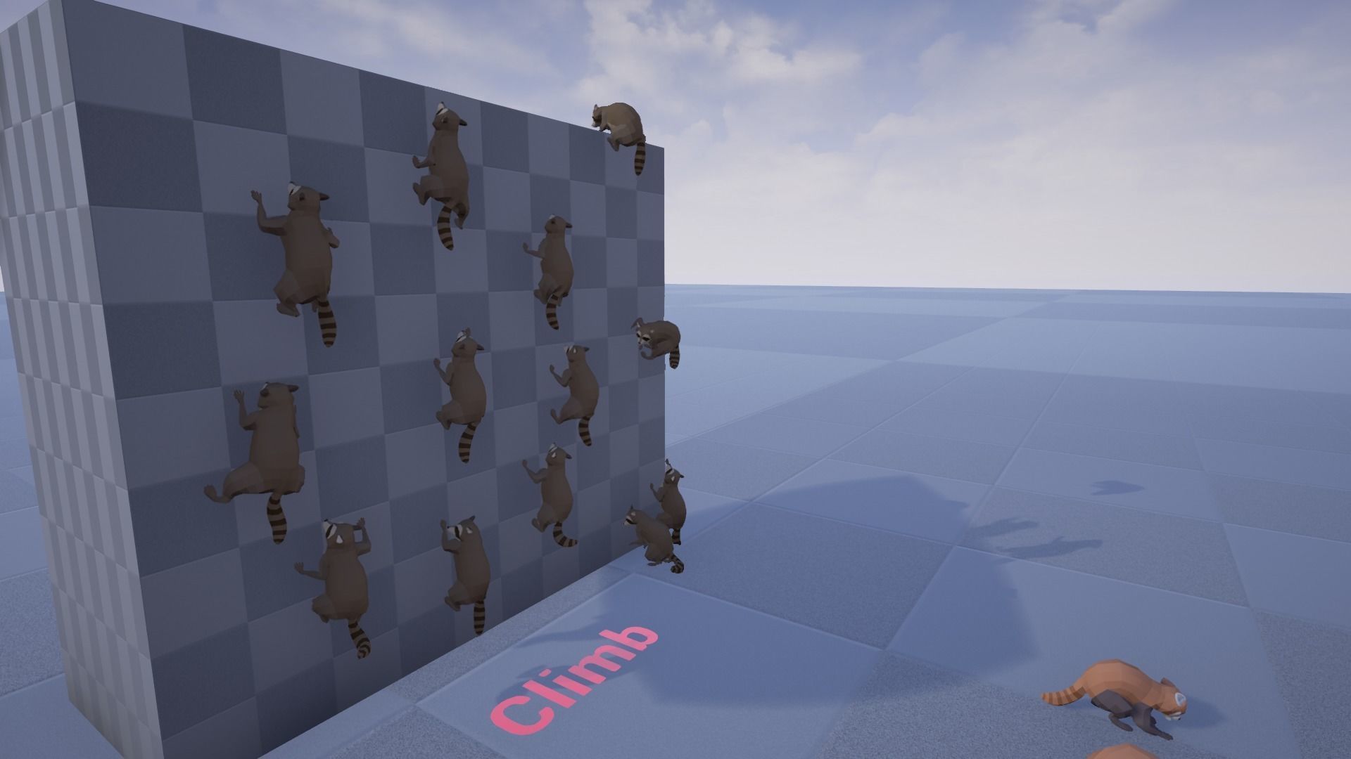 Realistic Raccoon and Red Panda 3D model_25