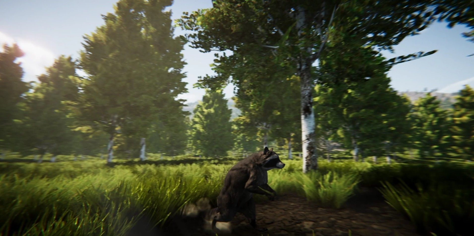 Realistic Raccoon and Red Panda 3D model_11