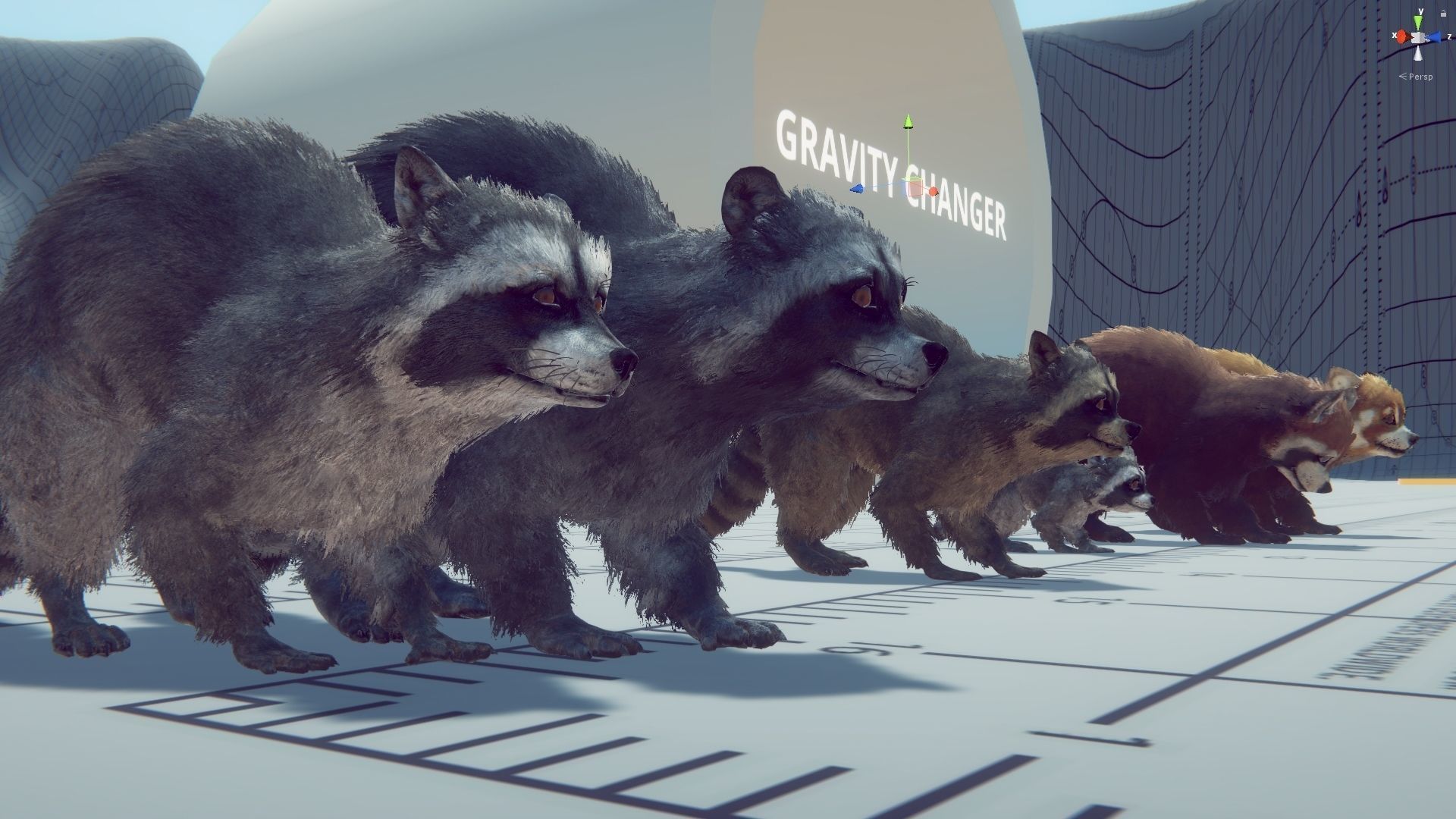 Realistic Raccoon and Red Panda 3D model_46