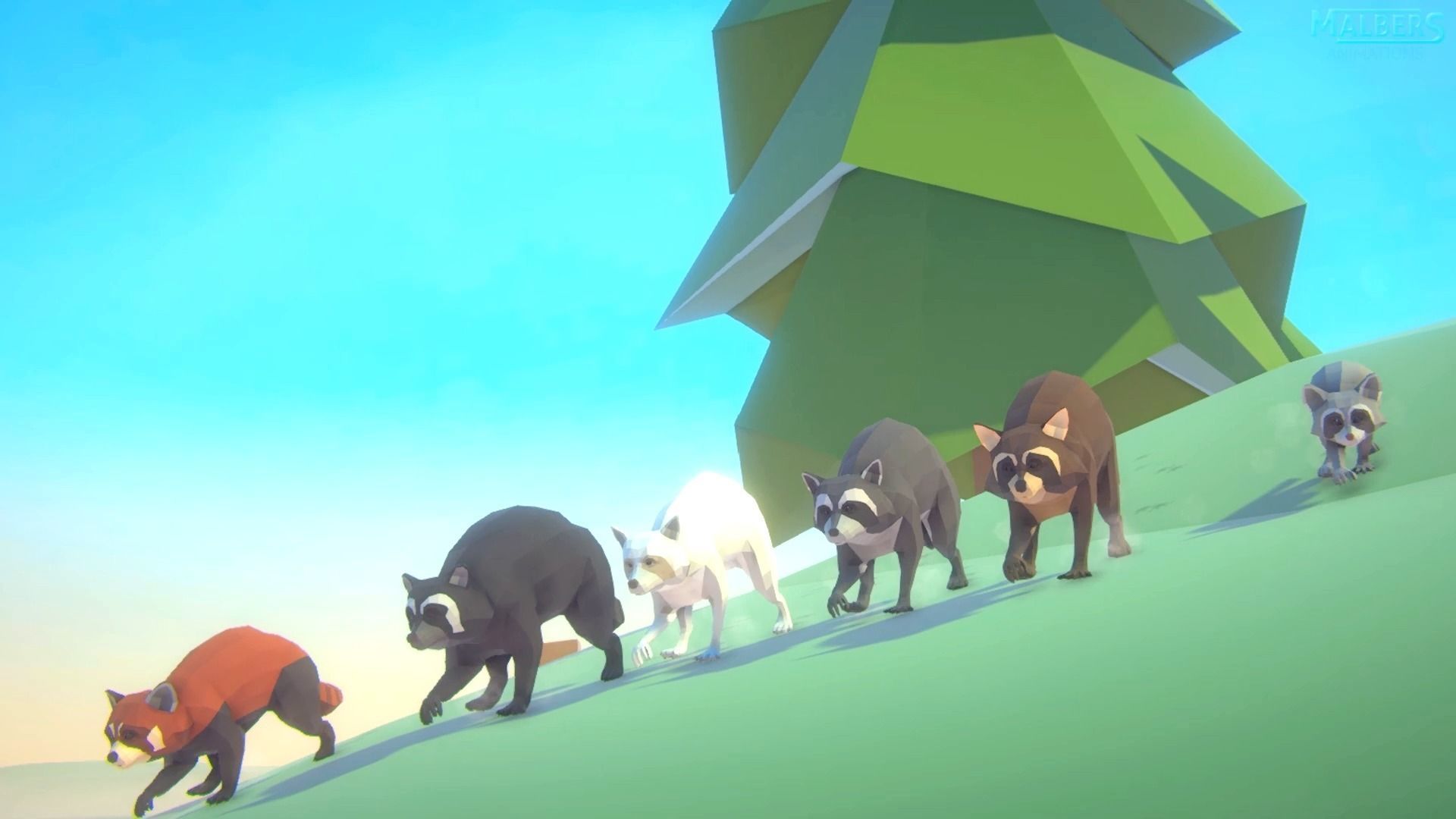 Realistic Raccoon and Red Panda 3D model_21