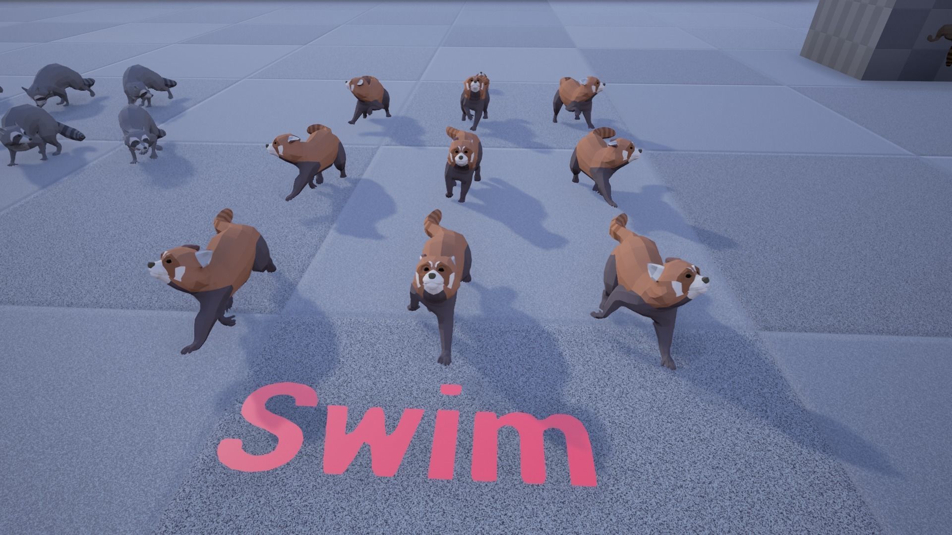 Realistic Raccoon and Red Panda 3D model_26