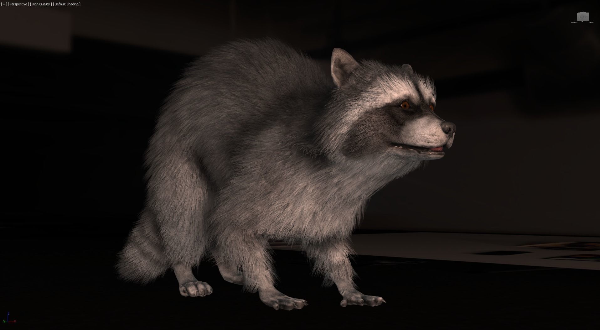 Realistic Raccoon and Red Panda 3D model_41