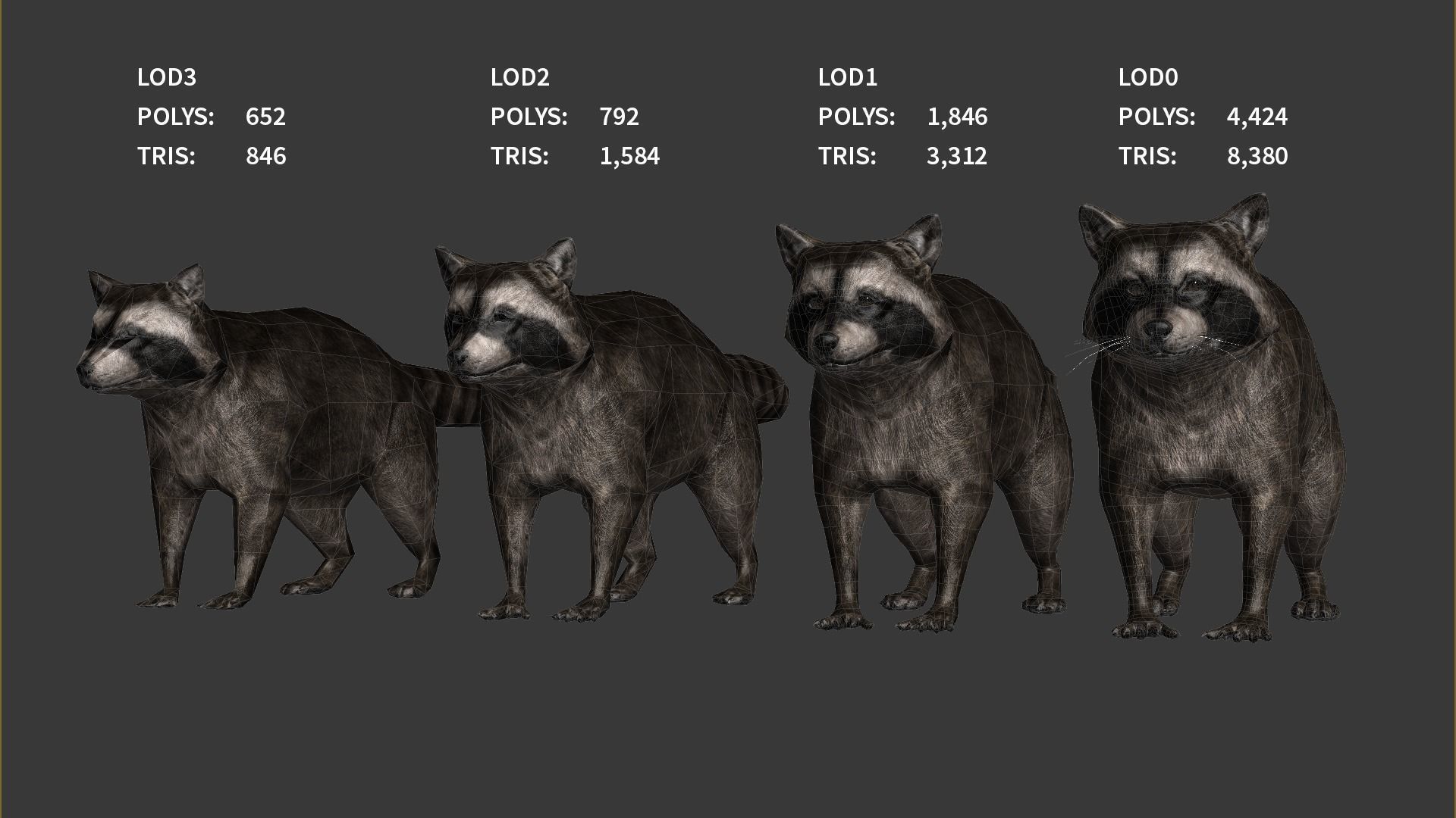 Realistic Raccoon and Red Panda 3D model_6