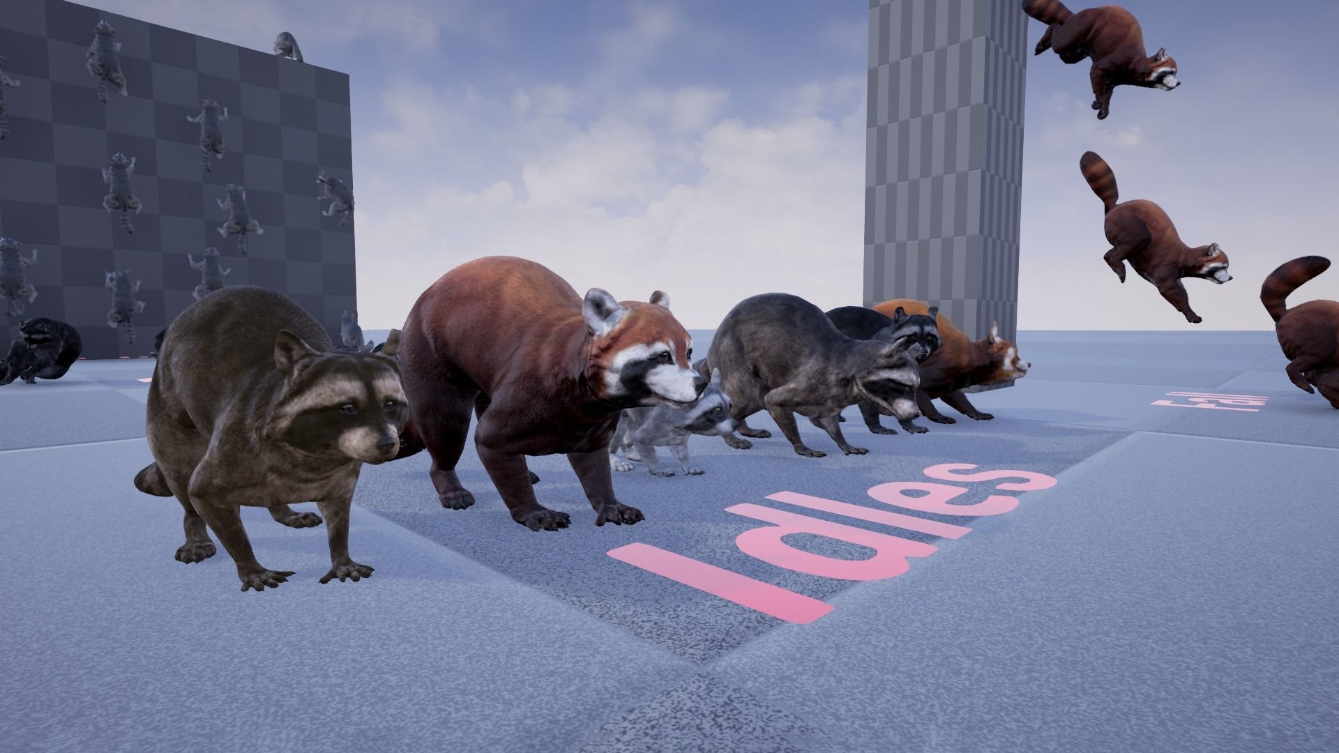 Realistic Raccoon and Red Panda 3D model_27