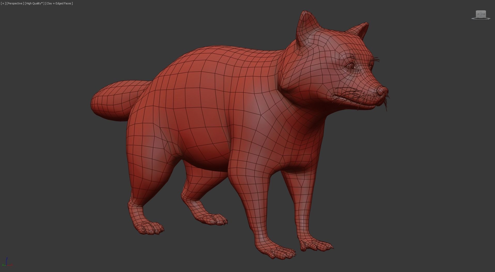 Realistic Raccoon and Red Panda 3D model_38