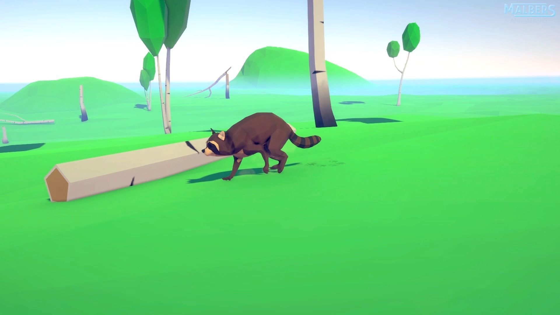 Realistic Raccoon and Red Panda 3D model_19