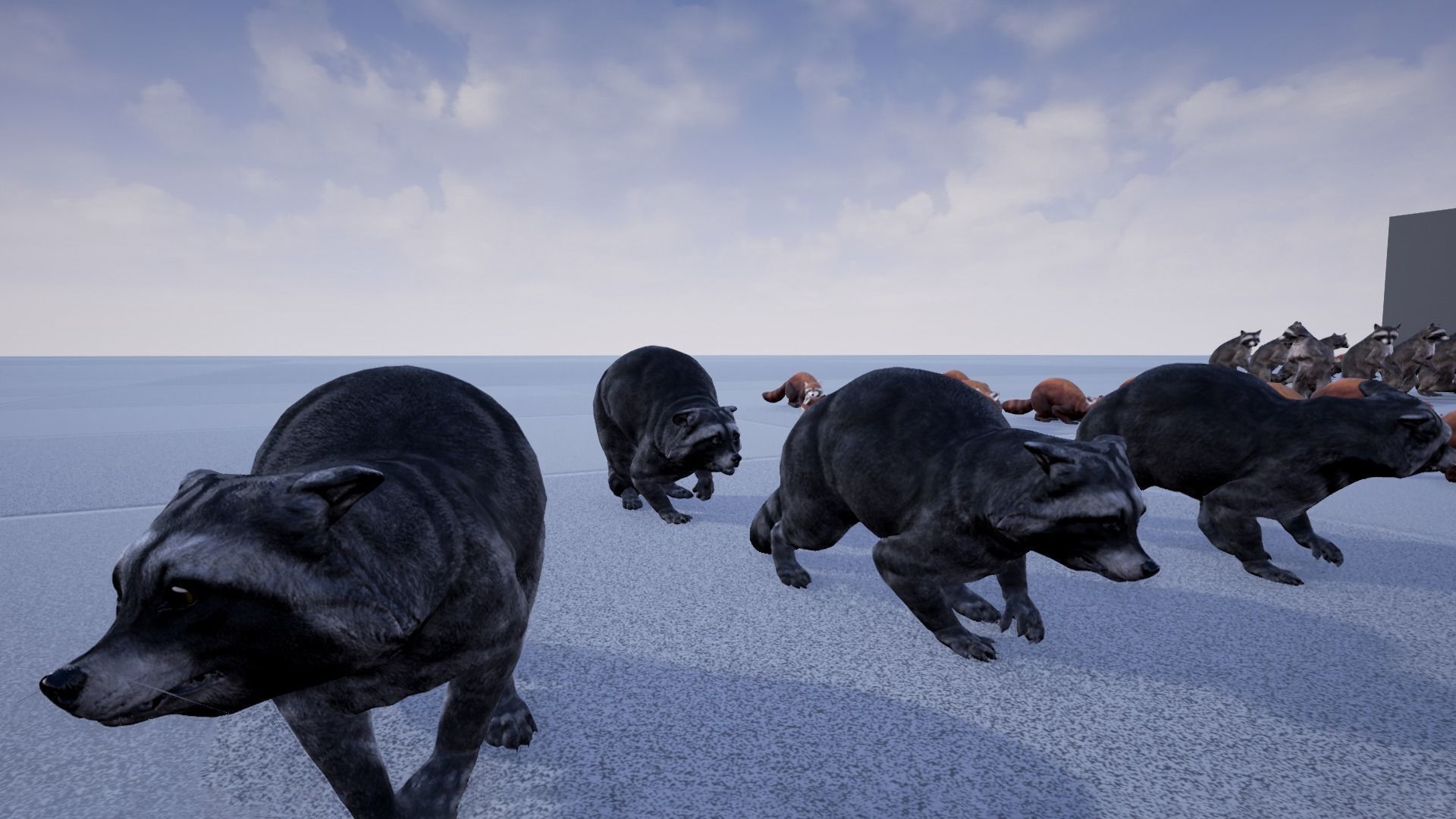 Realistic Raccoon and Red Panda 3D model_36