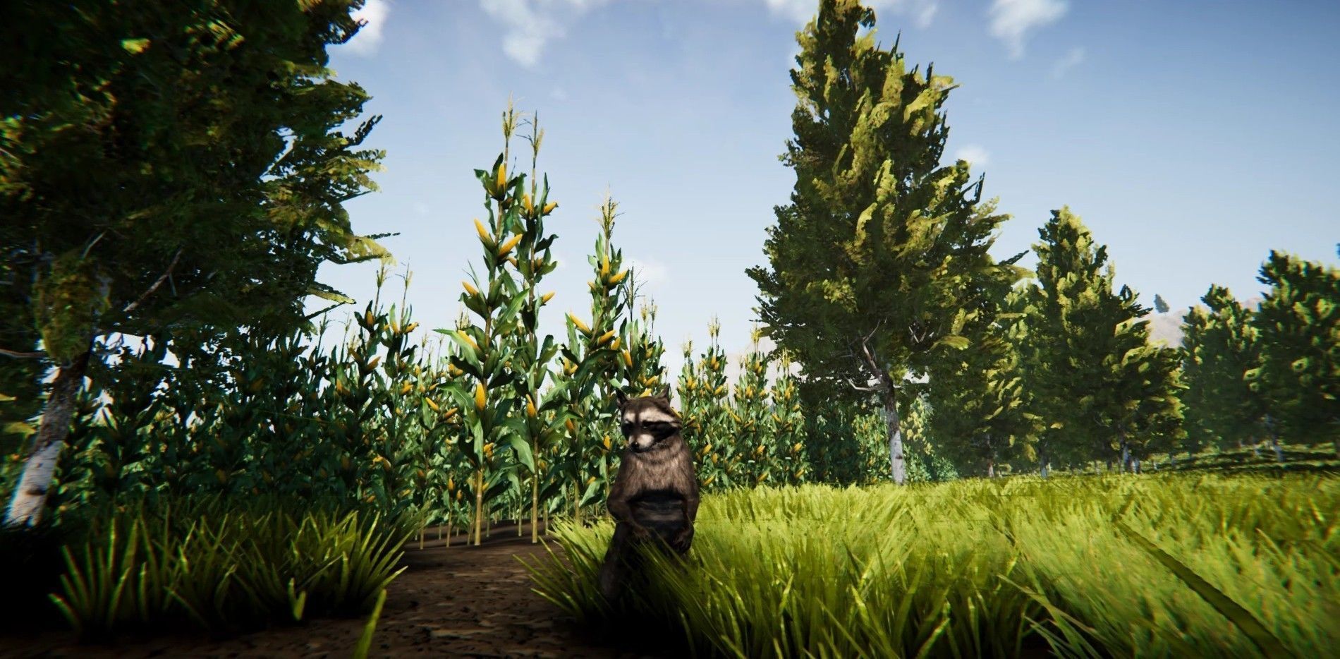 Realistic Raccoon and Red Panda 3D model_12