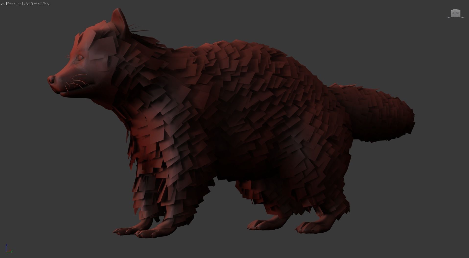 Realistic Raccoon and Red Panda 3D model_44