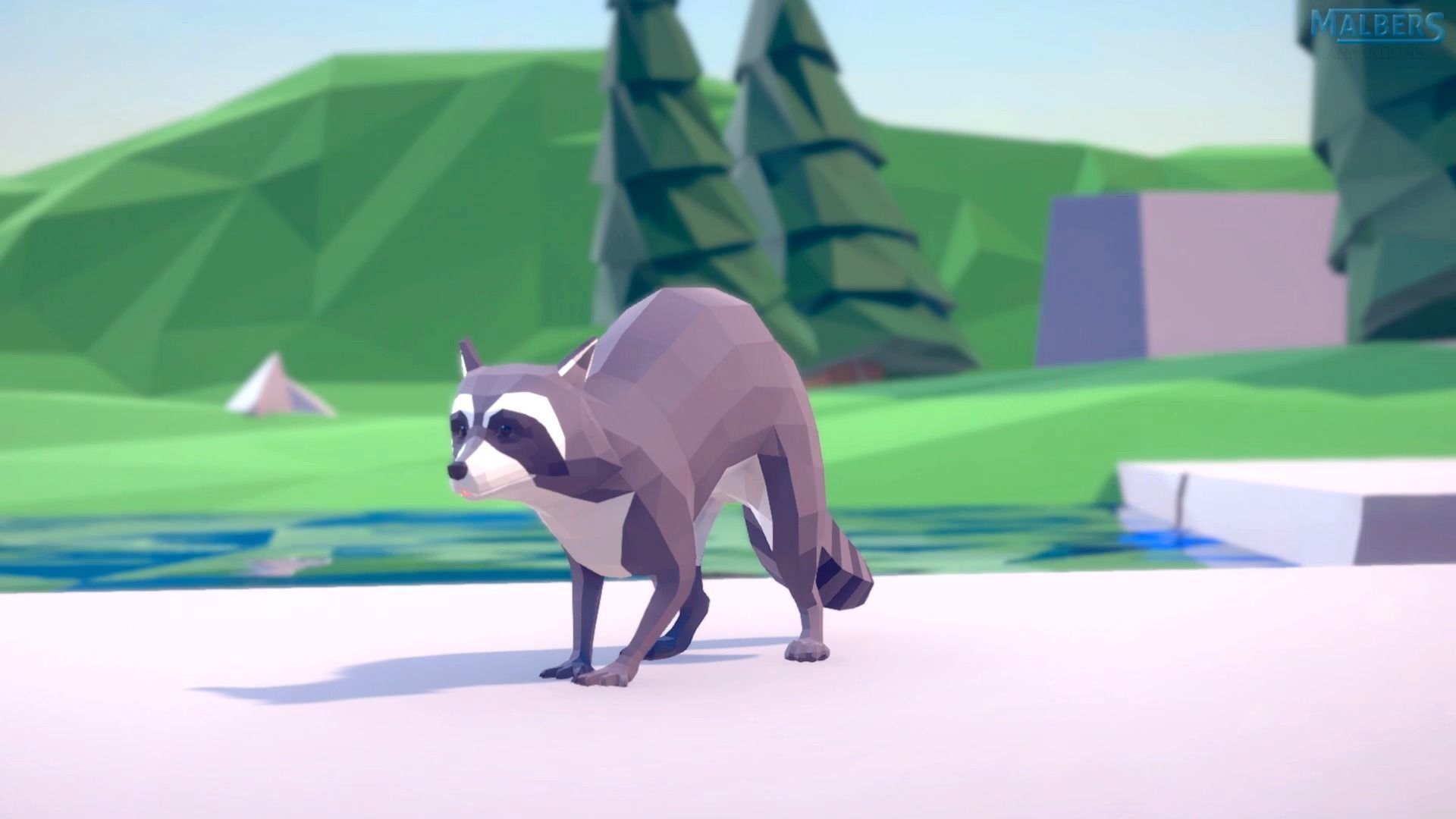 Realistic Raccoon and Red Panda 3D model_18