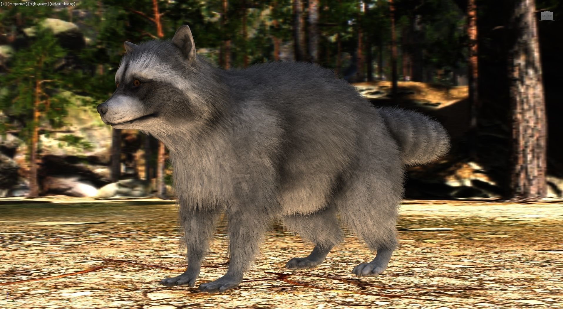 Realistic Raccoon and Red Panda 3D model_40