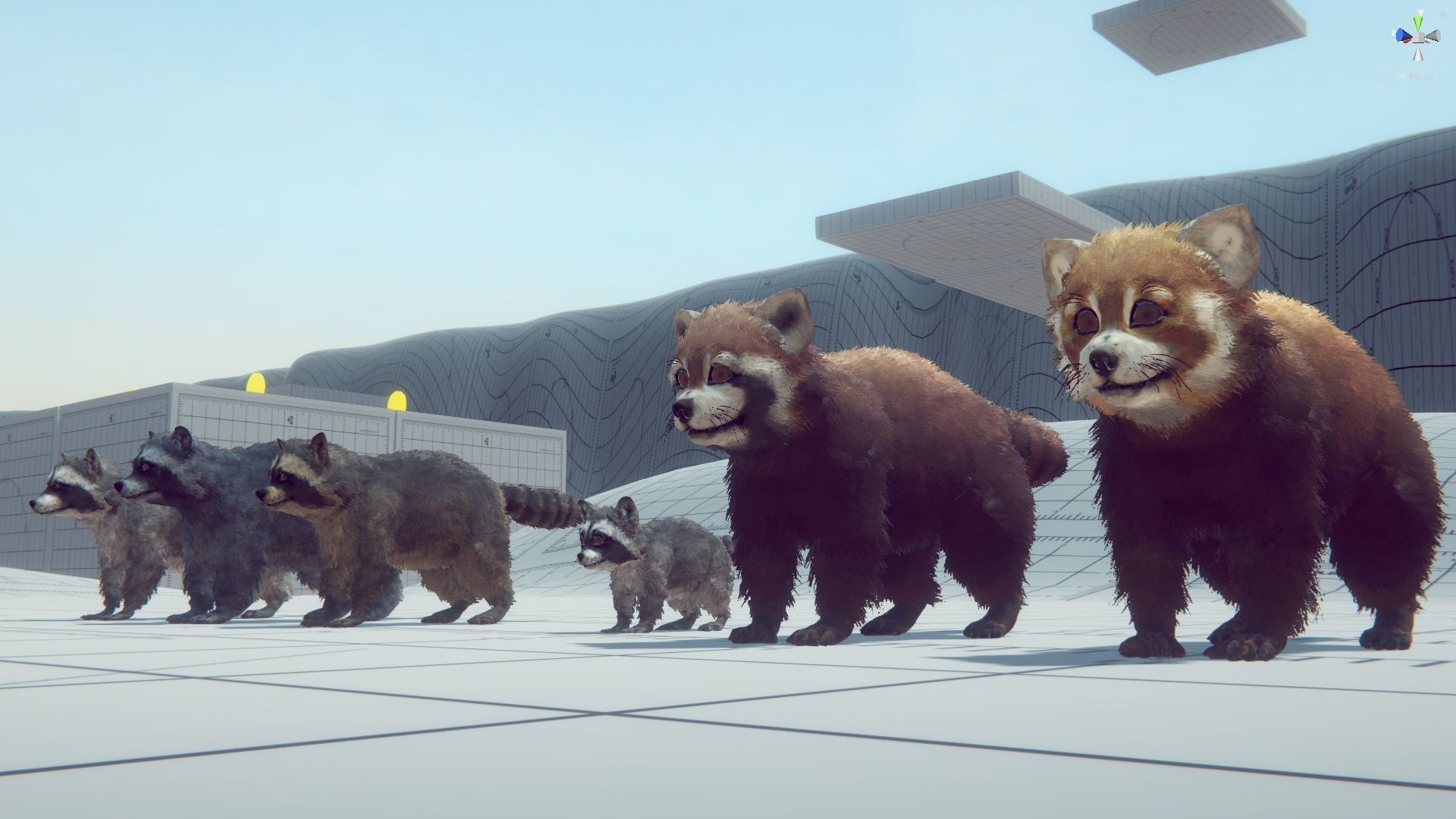 Realistic Raccoon and Red Panda 3D model_45
