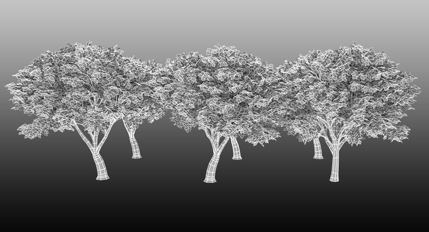 Azardirachta Indica 6 Trees Low-poly 3D model_8