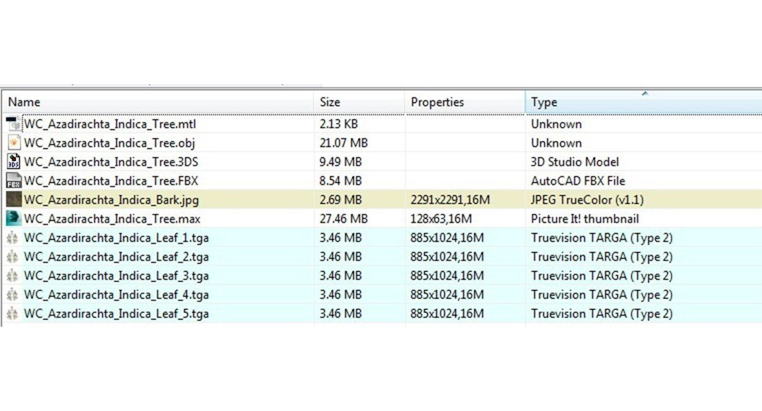 Azardirachta Indica 6 Trees Low-poly 3D model_11