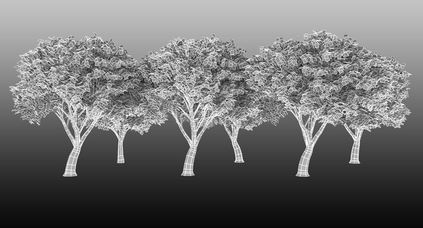 Azardirachta Indica 6 Trees Low-poly 3D model_9