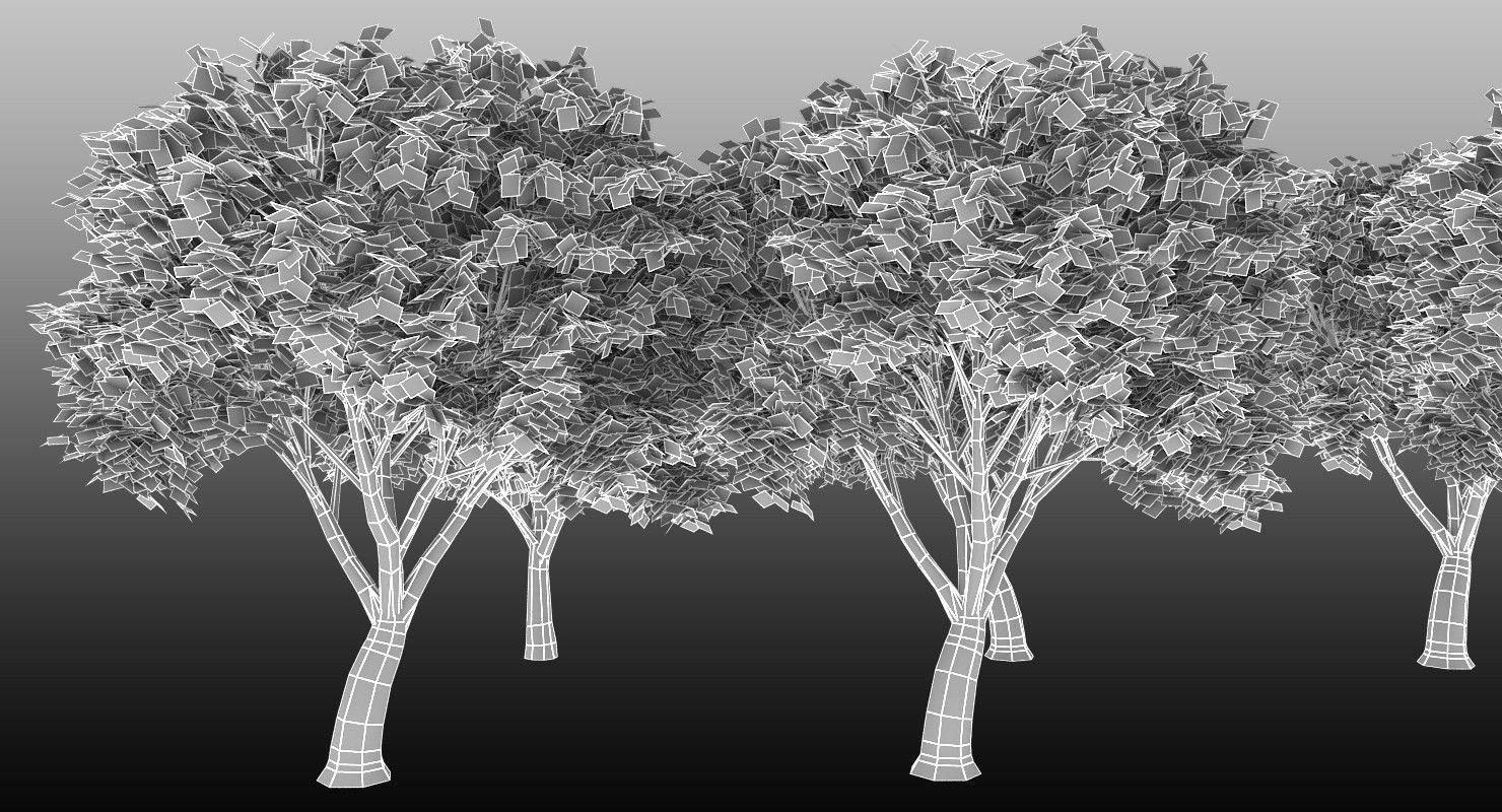 Azardirachta Indica 6 Trees Low-poly 3D model_7