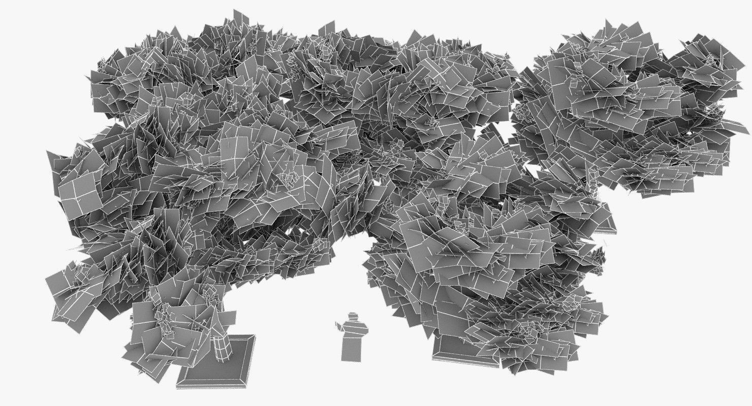 Acacia Tortillis Flower 5 Trees Low-poly 3D model_19