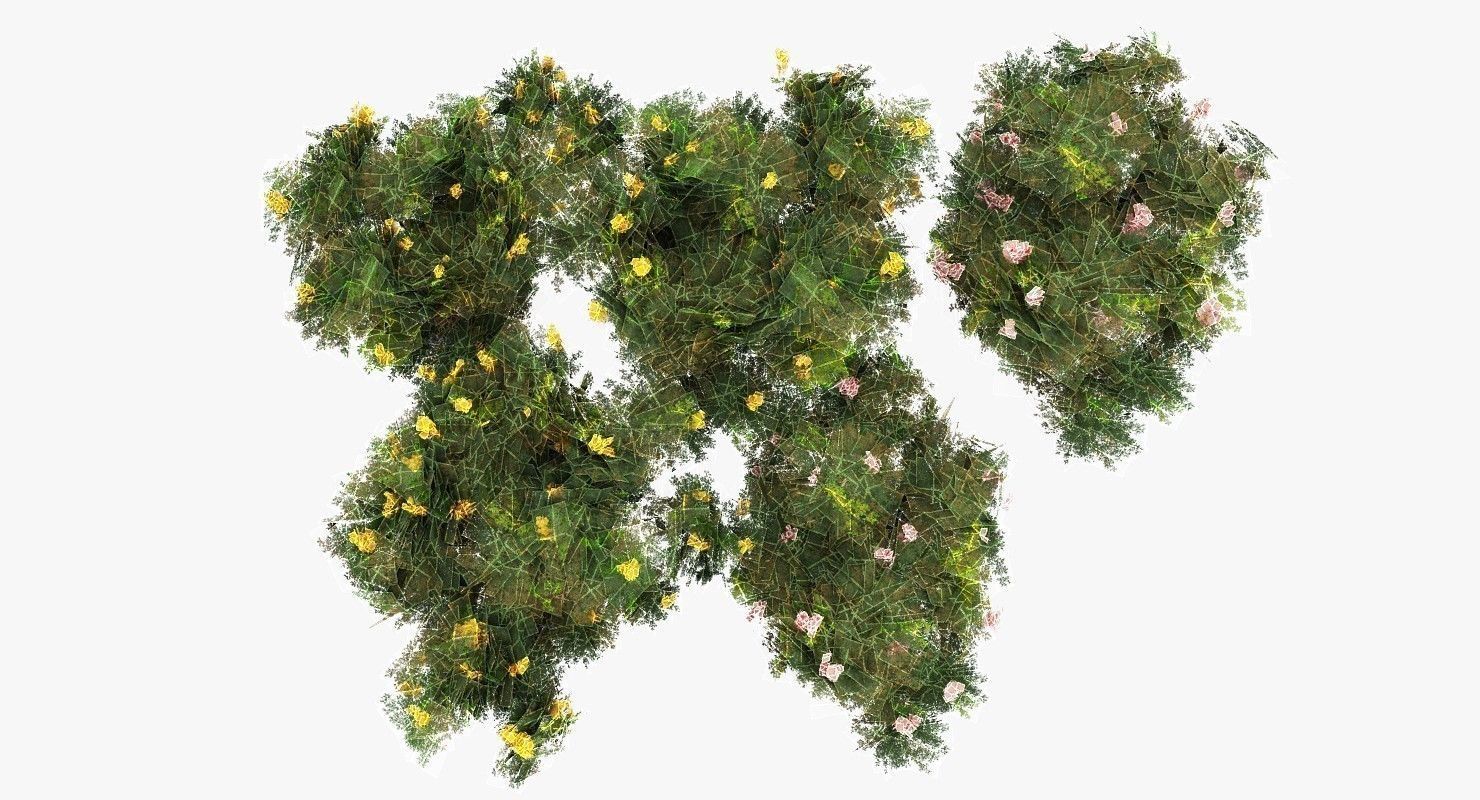 Acacia Tortillis Flower 5 Trees Low-poly 3D model_17