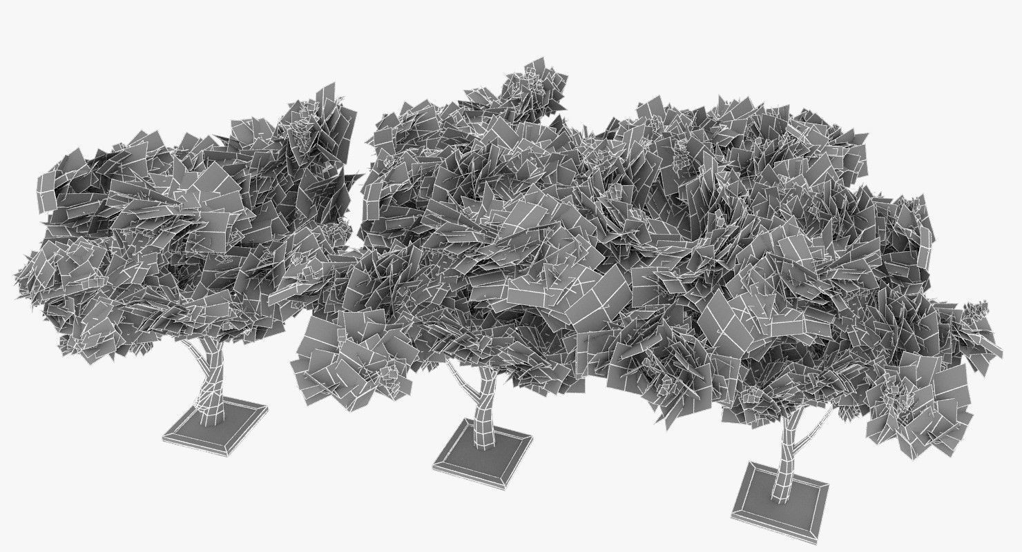 Acacia Tortillis Flower 5 Trees Low-poly 3D model_21