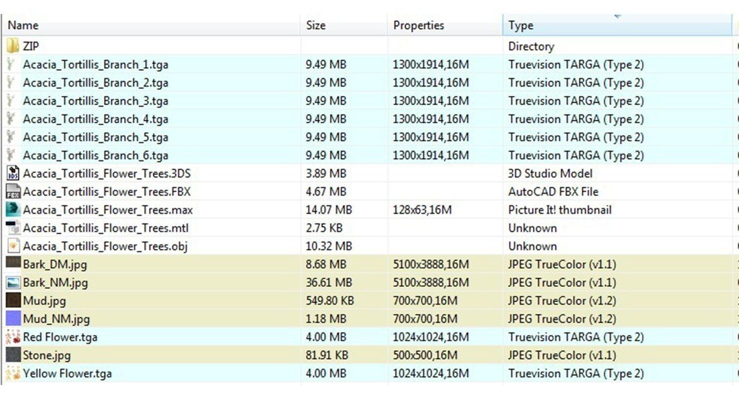 Acacia Tortillis Flower 5 Trees Low-poly 3D model_31