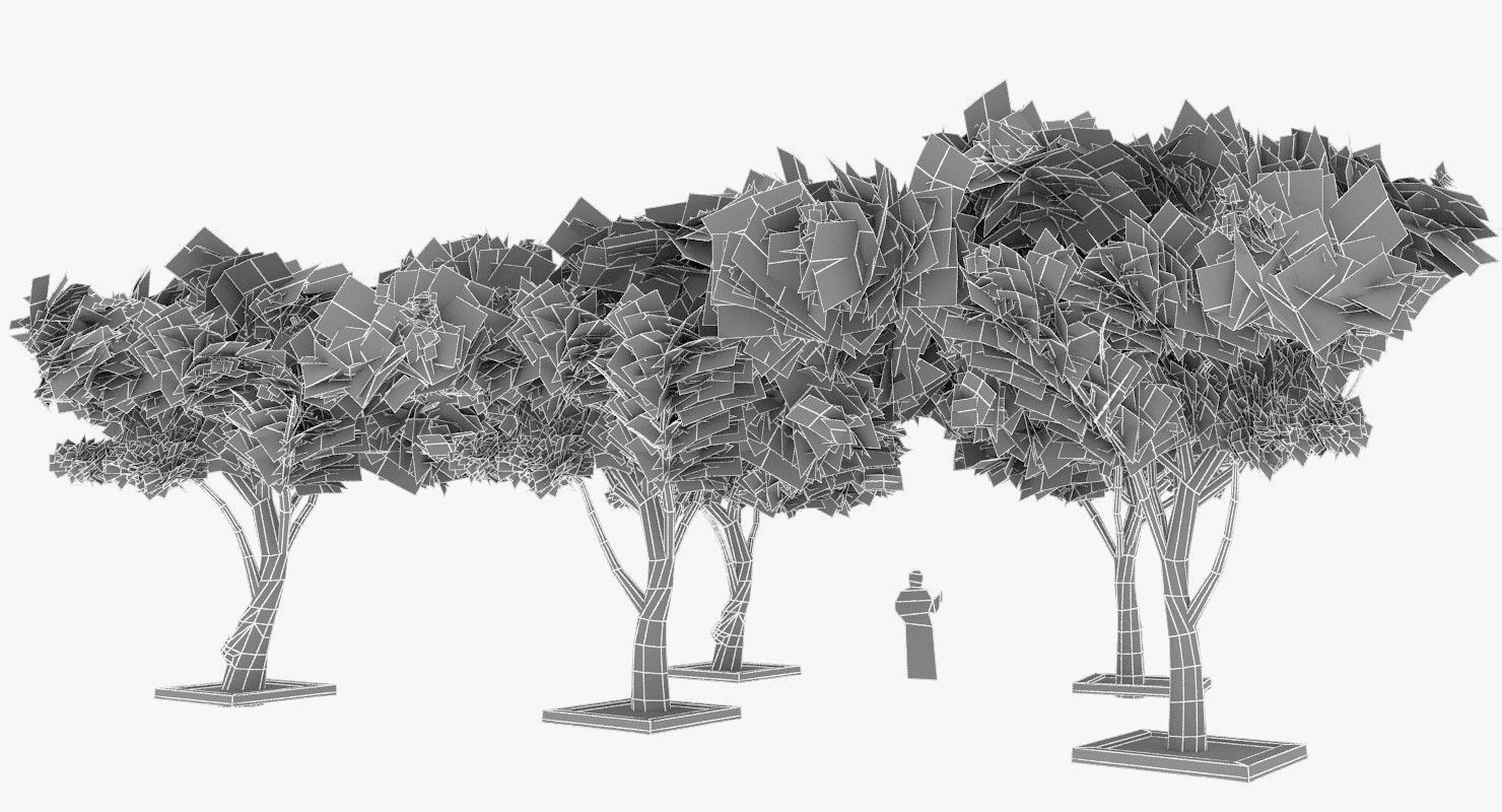 Acacia Tortillis Flower 5 Trees Low-poly 3D model_25